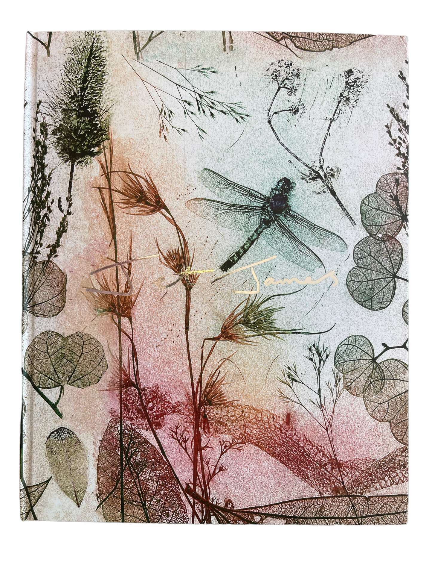 Artist Sketchbook - Rustic Dragonfly