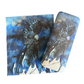 Mystic Cockatoo Glasses Case
