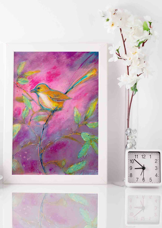 Pink Wren Fine Art Print