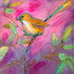 Pink Wren Fine Art Print