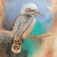 'Natural Kookaburra' Fine Art Print