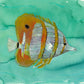 'Reef Fish' Fine Art Print