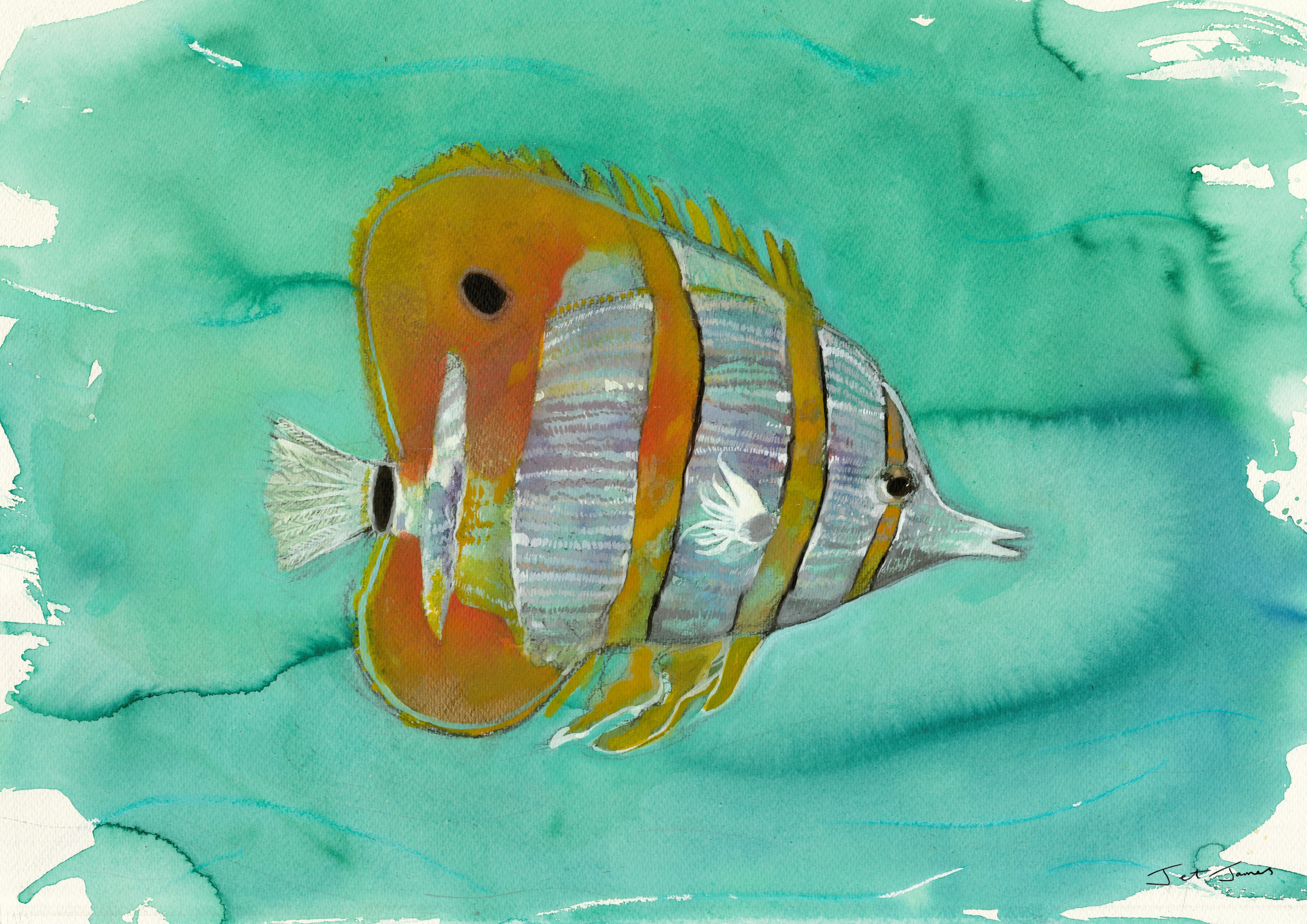 'Reef Fish' Fine Art Print by Artist Jet James – Jet James Artist