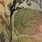 Rustic leaf Fine Art Print