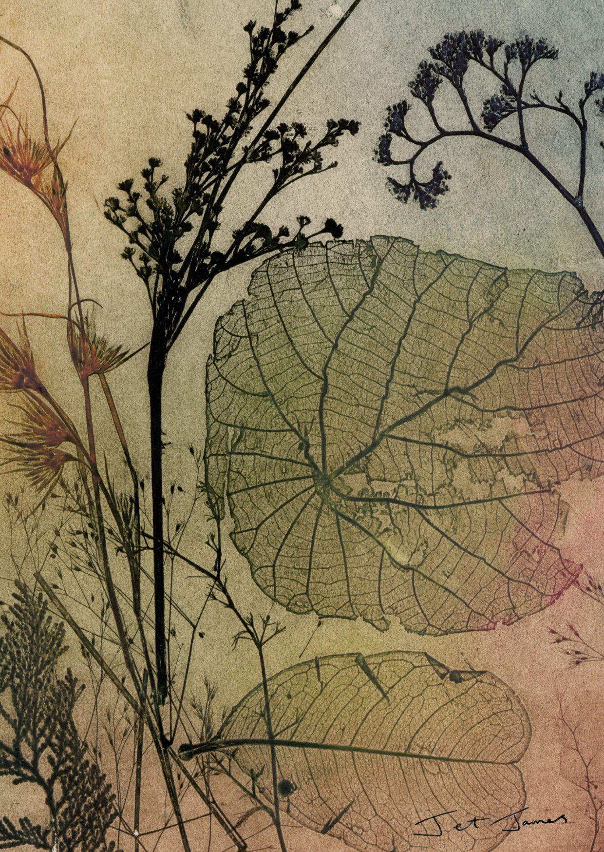 Rustic leaf Fine Art Print
