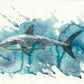 'Shark' Fine Art Print