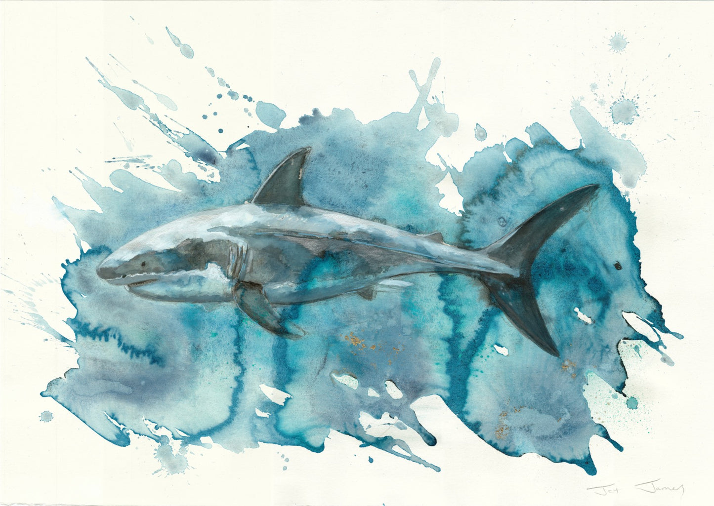 'Shark' Fine Art Print