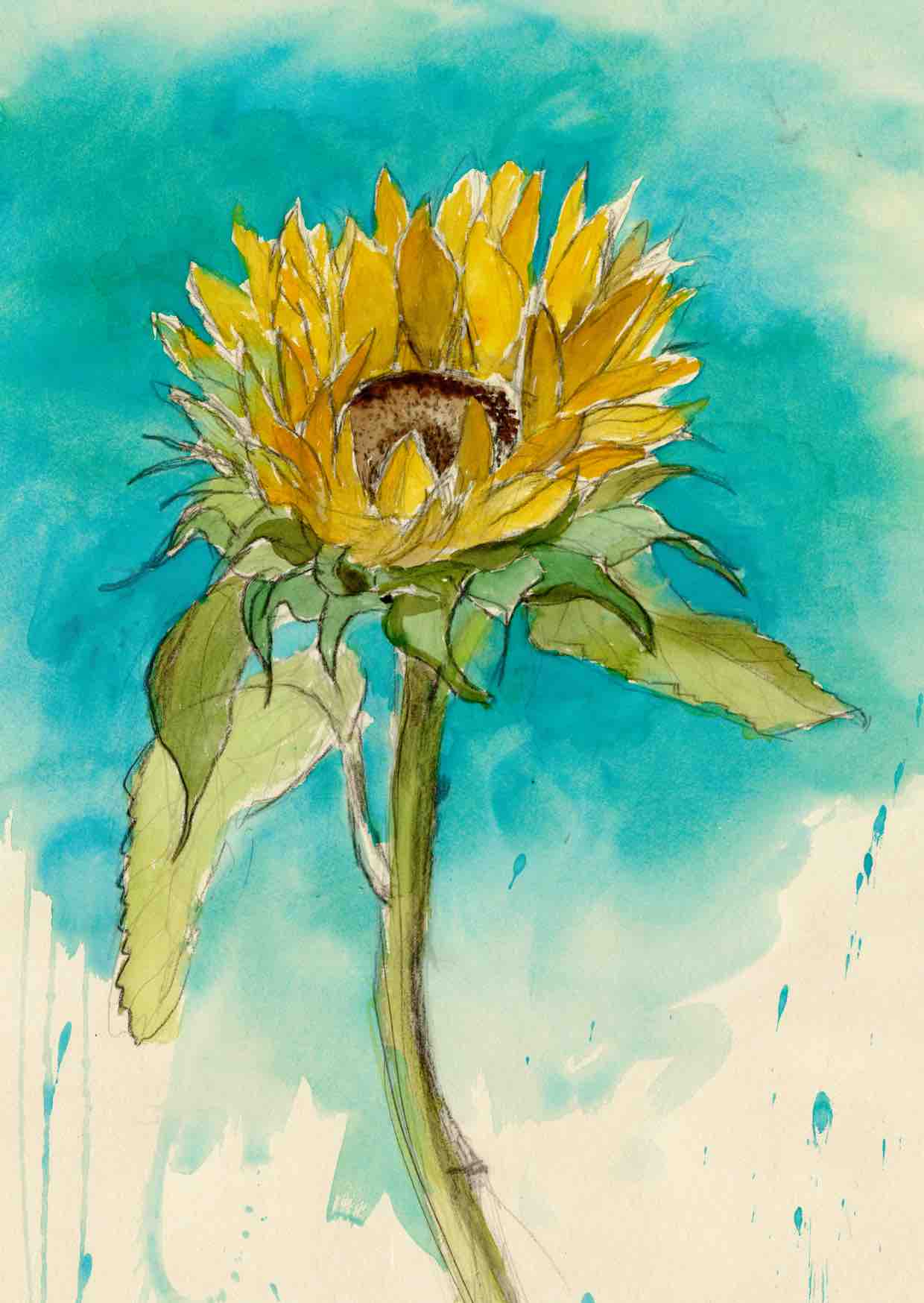 Sunflower  Art Print