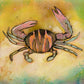 'Swimmer Crab' Fine Art Print