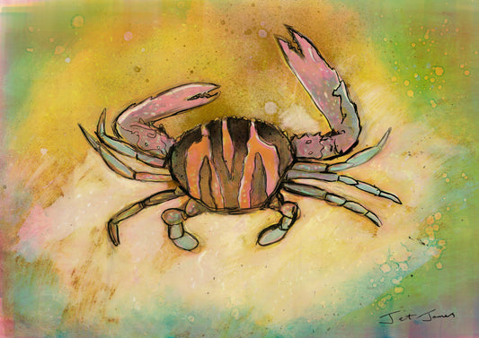 'Swimmer Crab' Fine Art Print
