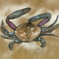 'Swimmers Crab' Fine Art Print