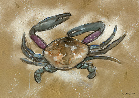 'Swimmers Crab' Fine Art Print