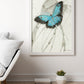 Butterfly Fine Art Print