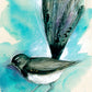 'Willy Wagtail' Fine Art Print