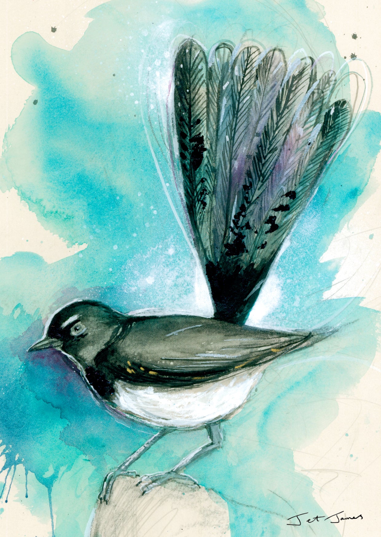 'Willy Wagtail' Fine Art Print