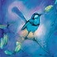 Blue Wren Fine Art Print