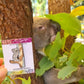 Cooberrie Koala Pin Badge