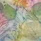 Nature Fine Art Print