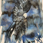 'Mystic Cockatoo' Fine Art Print