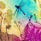 Rainbow Dragonfly Fine Art Print