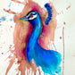 Peacock Fine Art Print