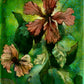 ‘Birds and the Hibiscus’ Fine Art Print