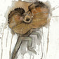 Frilled Neck Lizard Art Print
