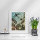 Water Dragonfly Fine Art Print