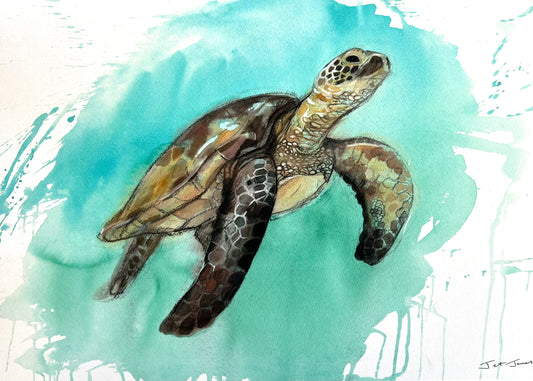 'Sea Turtle' Fine Art Print