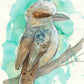 'Watercolour Kookaburra' Fine Art Print